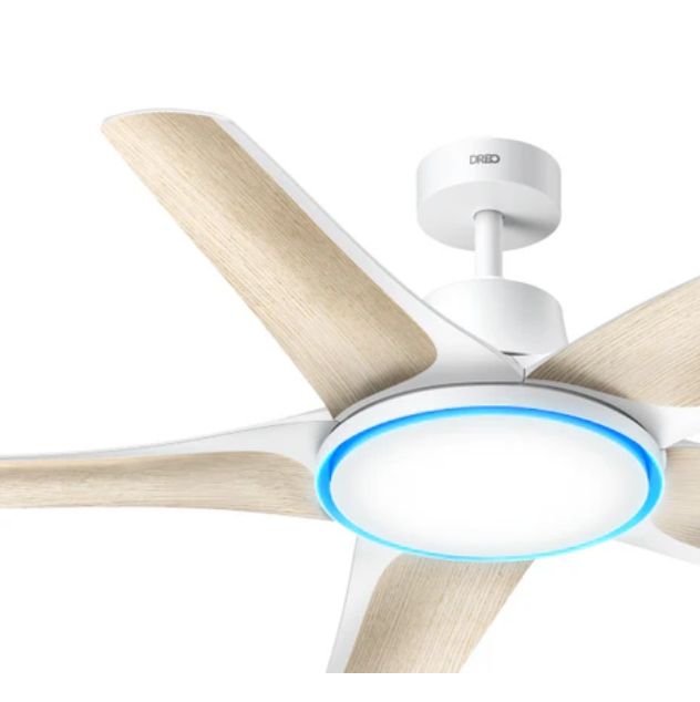 Ceiling Fans